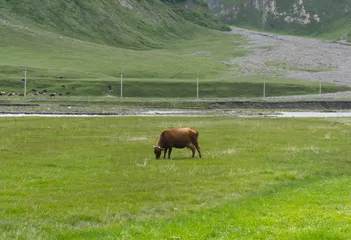 14:59
