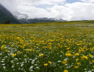 15:19