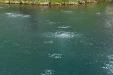 14:38