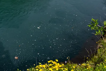 16:37