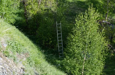 17:17